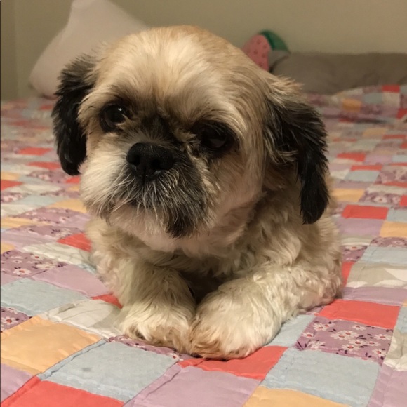 Meet your Posher, Jessica - Picture 8 of 13